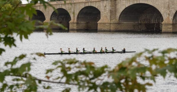 regatta bulkelly